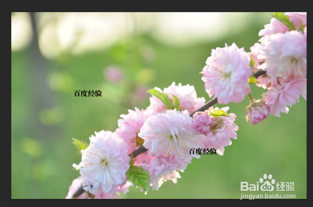 PS如何快速去除图片水印