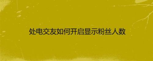 处电交友如何开启显示粉丝人数