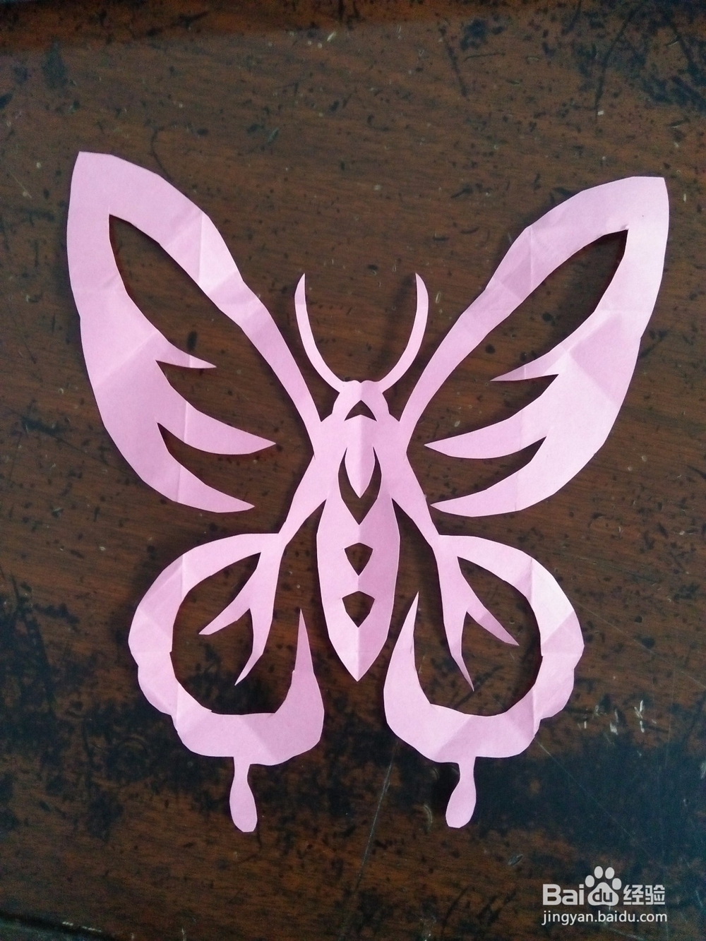 蝴蝶剪纸怎么剪（二）