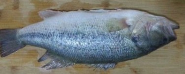 12个月宝宝辅食----小米鱼片粥