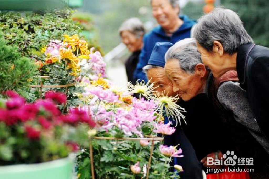 重阳节的由来，看完就明白了