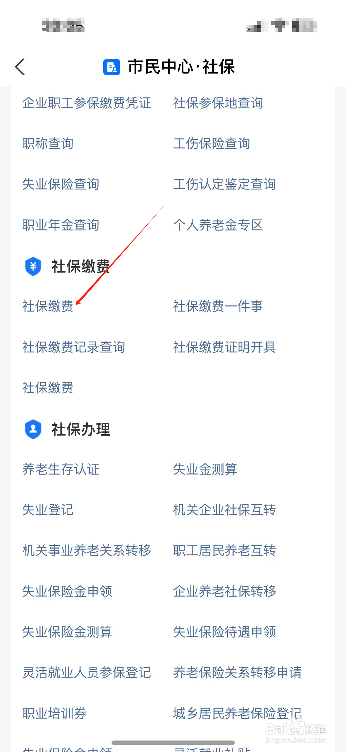 怎么在支付宝上交农村合作医疗保险？