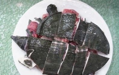 红烧乌龟怎么做