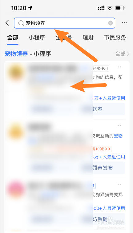 适合新手养的犬种