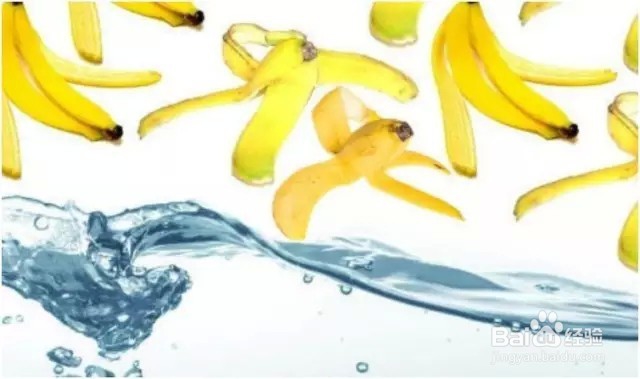 你可能不知道香蕉皮