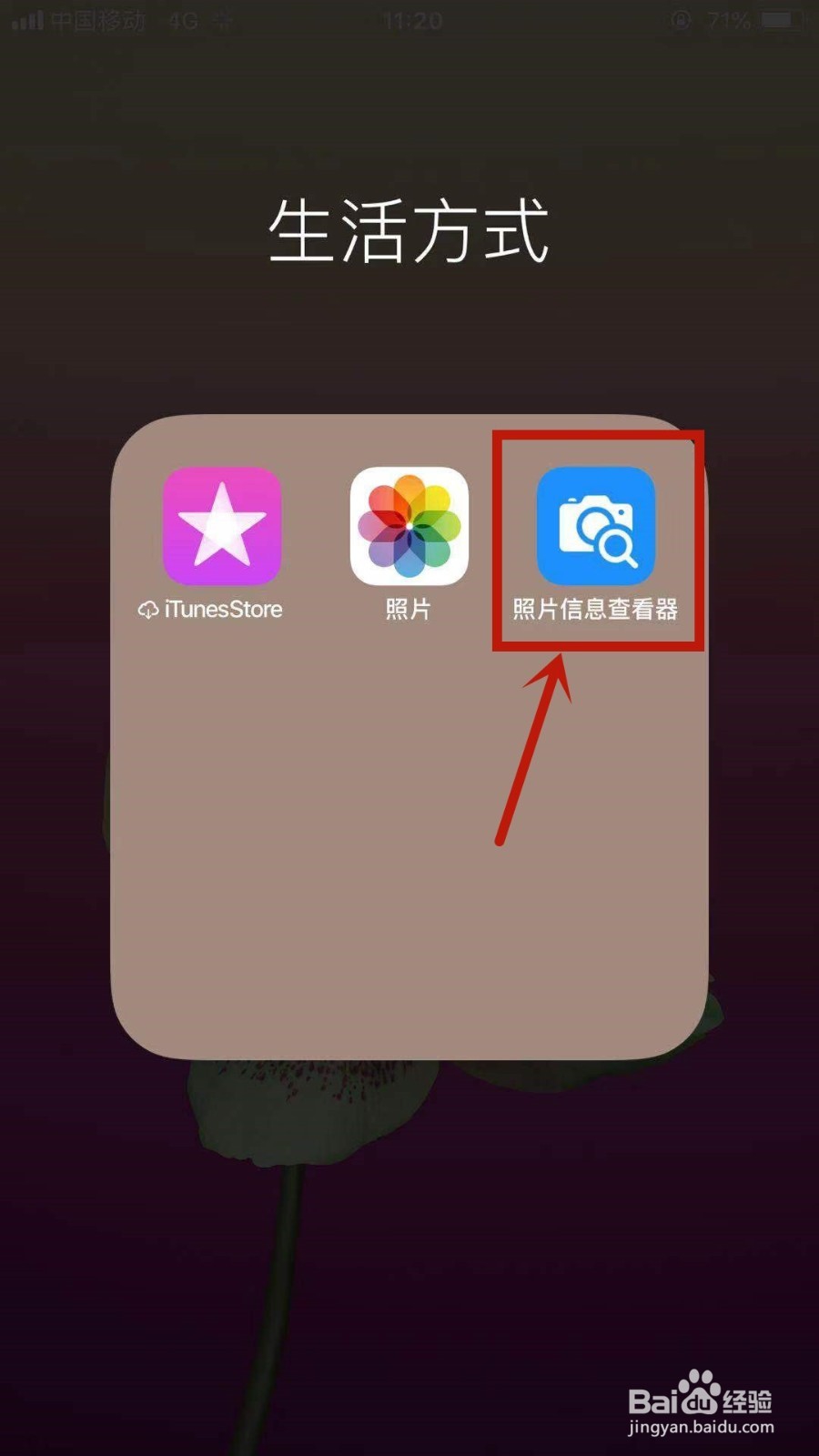 如何查看苹果手机里照片的详细信息？