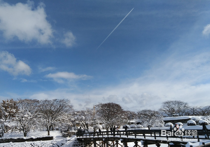 一条性价比爆棚的万元以下日本北海道观雪路线