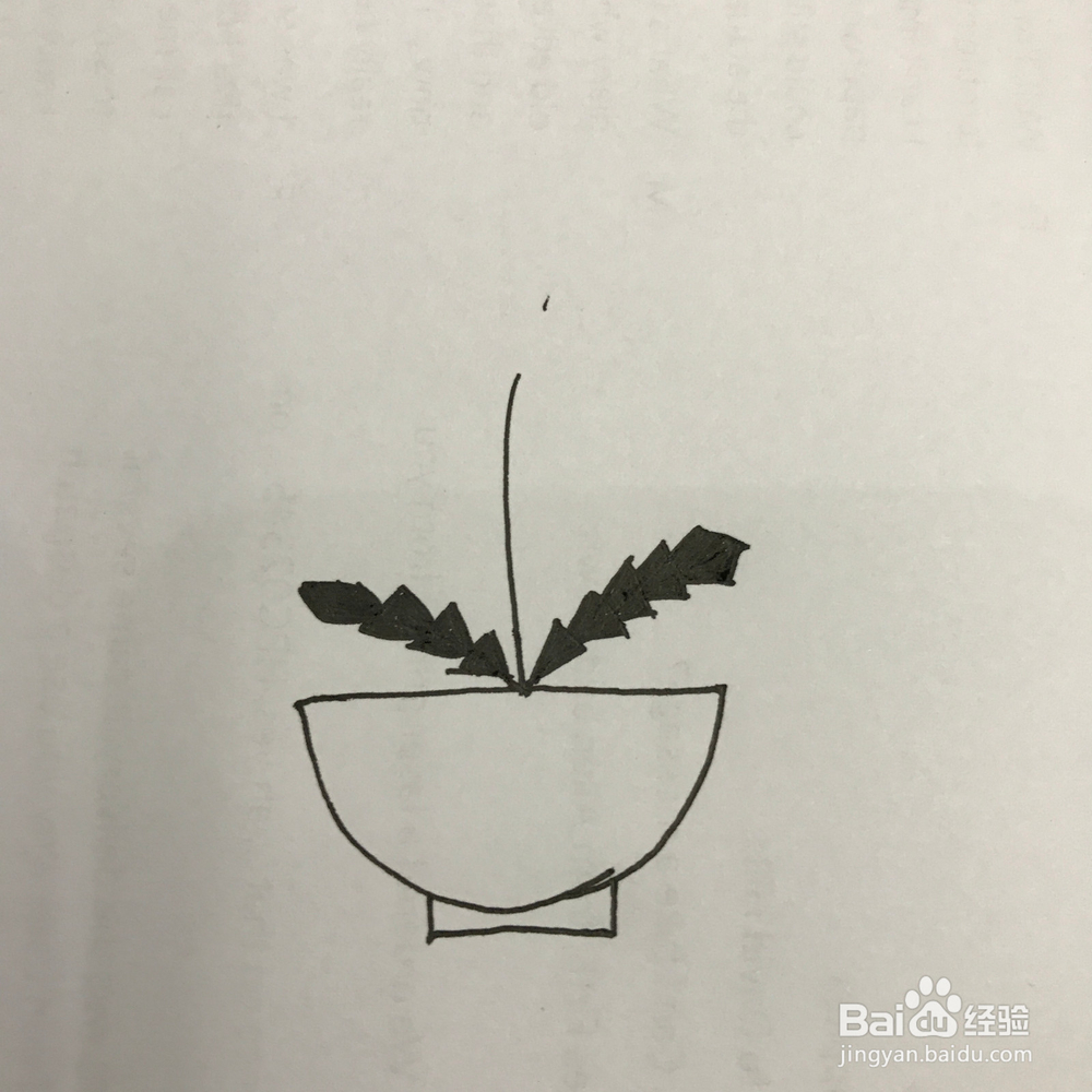 如何画好小清新蒲公英