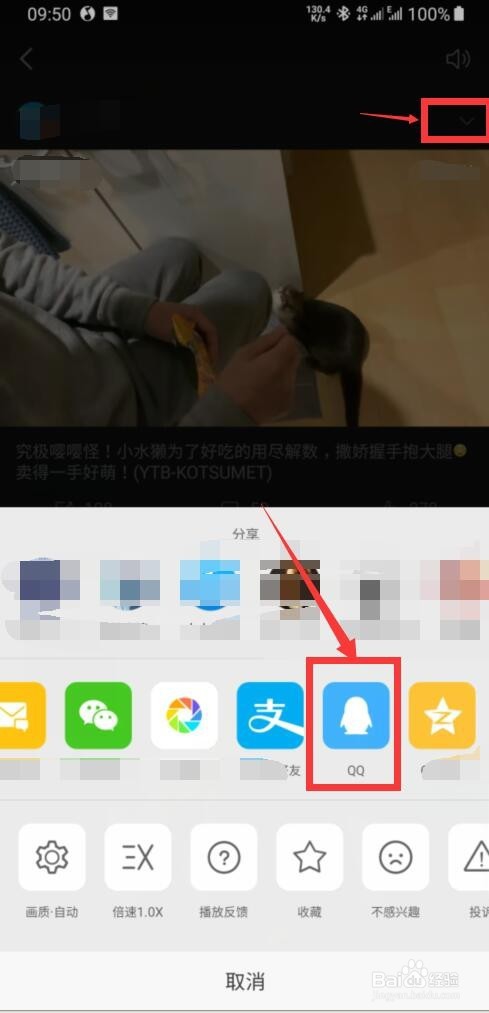 怎样将微博中的视频下载保存至手机