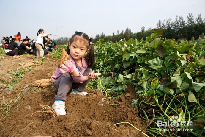 国庆过后，到长沙乡村怎样找农村人的乐子！！！