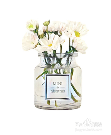 花加mini系列养护插花指南