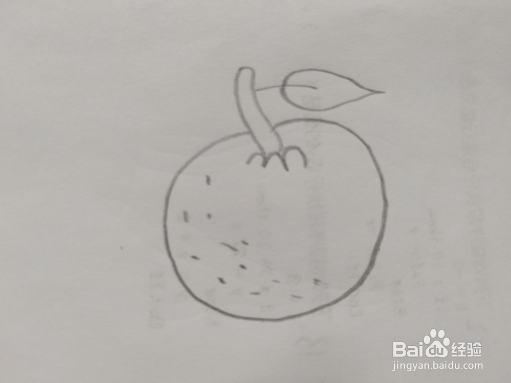简笔画橘子画法6