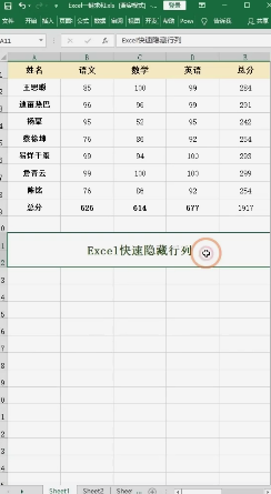 Excel隐藏行列内容