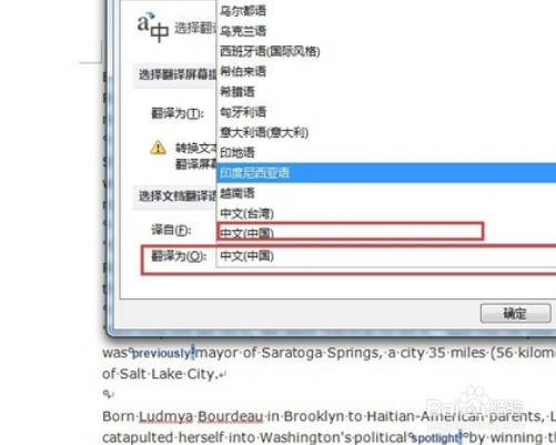 如何把我的Word文档改为中文