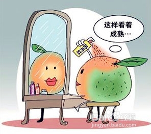 如何挑选、购买水果蔬菜和香辛料？