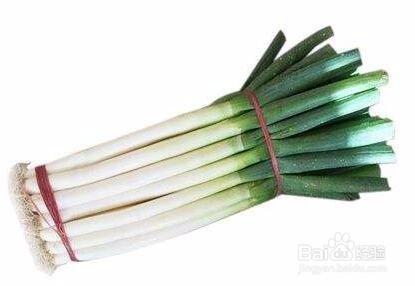 如何防治高脚白大葱的病虫害?