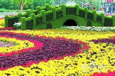 如何起名：[4]寓情于景法