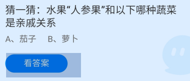 “人参果