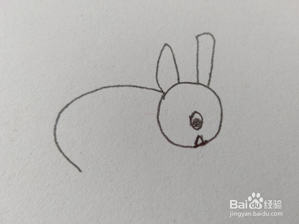 简笔画如何画一个可爱的小兔?