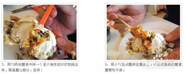 蟹行天下教您怎么吃大闸蟹