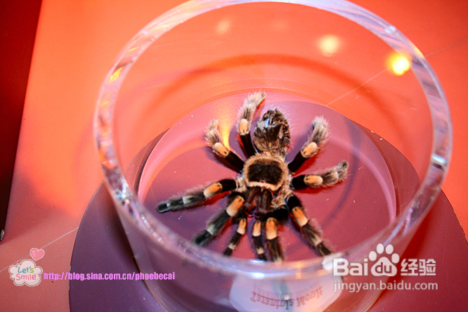 畅游温哥华科技馆(组图)