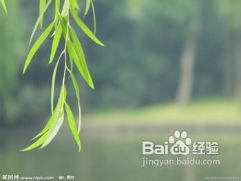 如何去除脚气五个妙招
