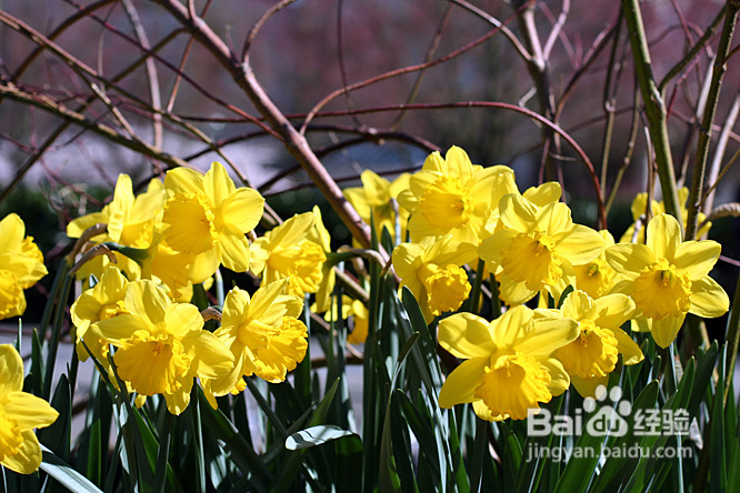 宝宝的睡前小读(组图)