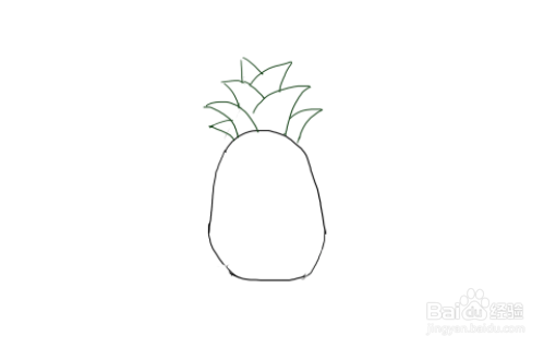 简笔画教学：如何画菠萝