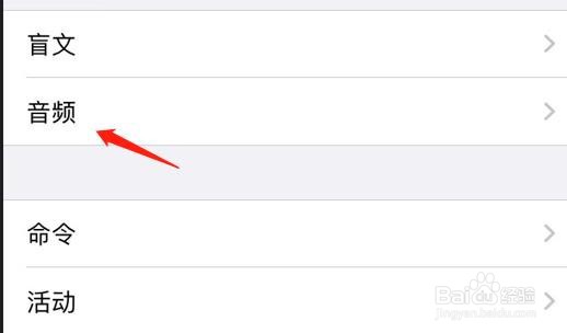 怎么查看iPhone旁白中的未知命令