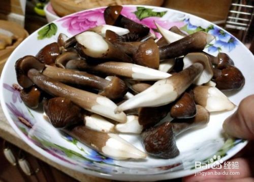 黑鸡枞菌的做法怎么炒