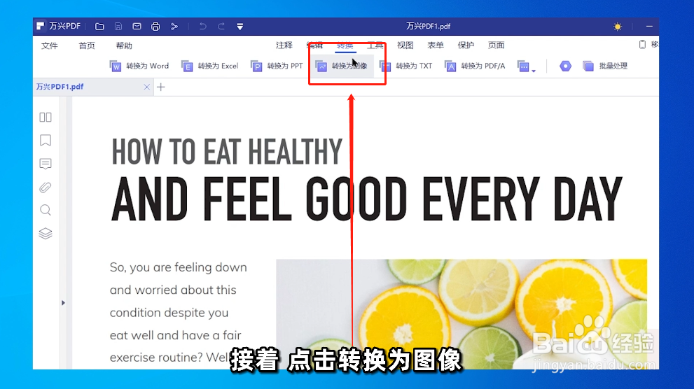如何将PDF文件转换为PNG格式图像？