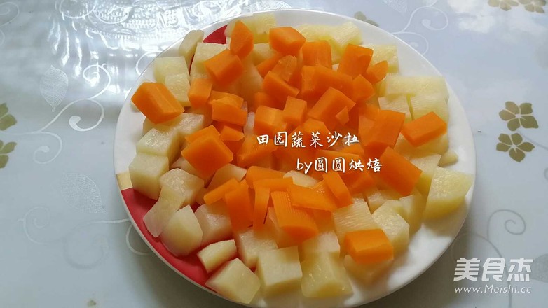 田园沙拉的做法