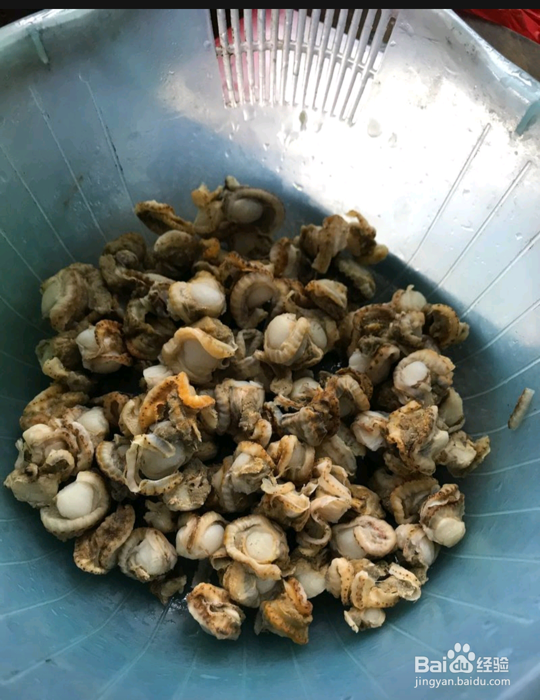 如何做出腐乳双绿炒贻贝