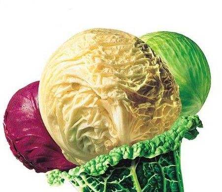 怎样吃卷心菜减肥 百度经验