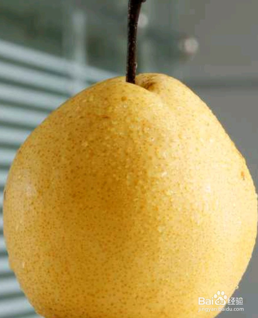 茅根多色布丁的做法