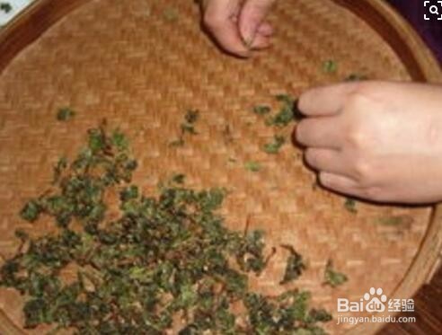 捡茶叶怎么做