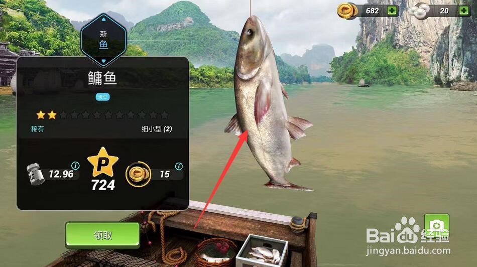 水深4到5米怎么钓鲢鳙