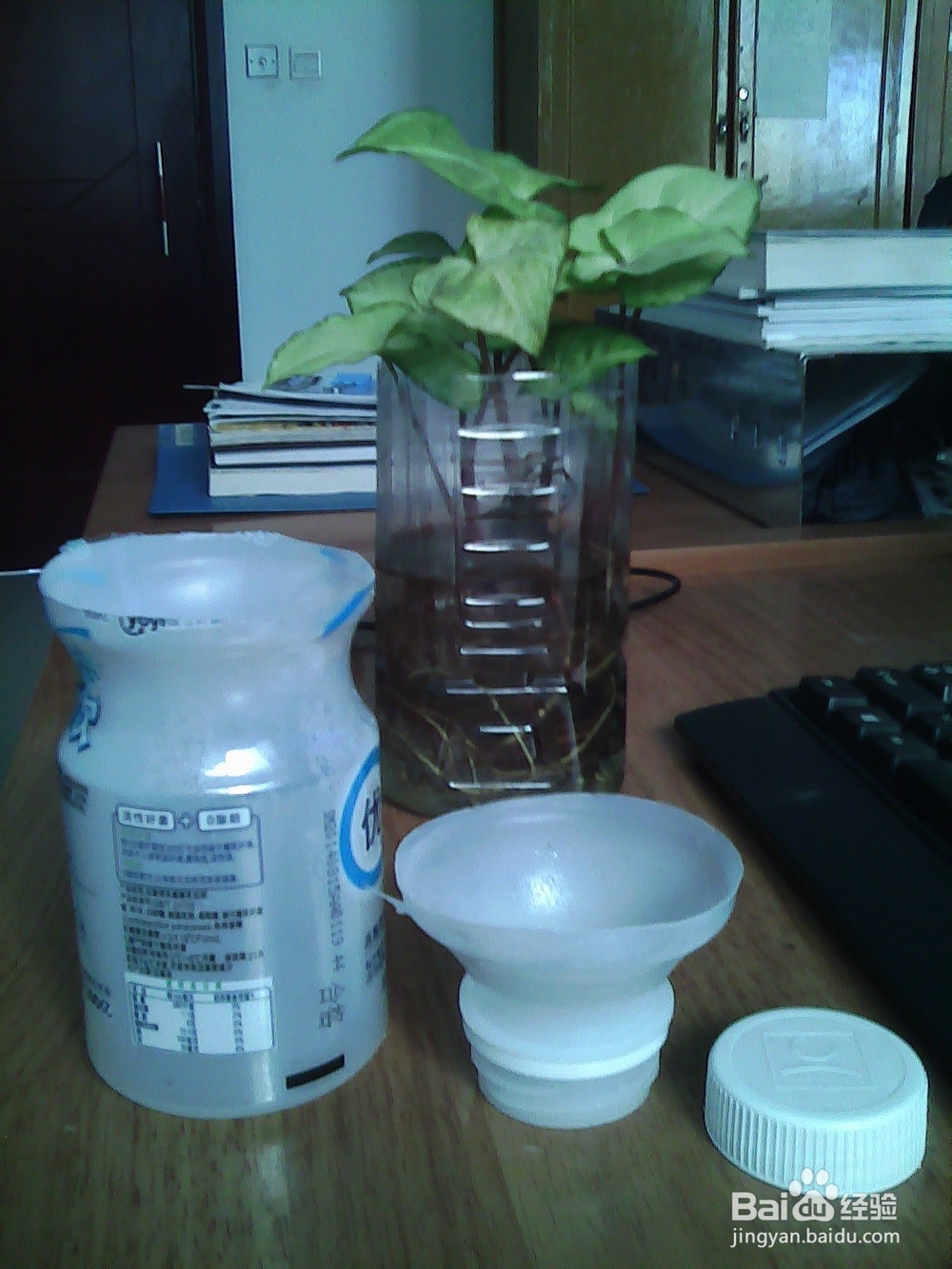 生活经验-怎么制作环保清洁球-省钱攻略