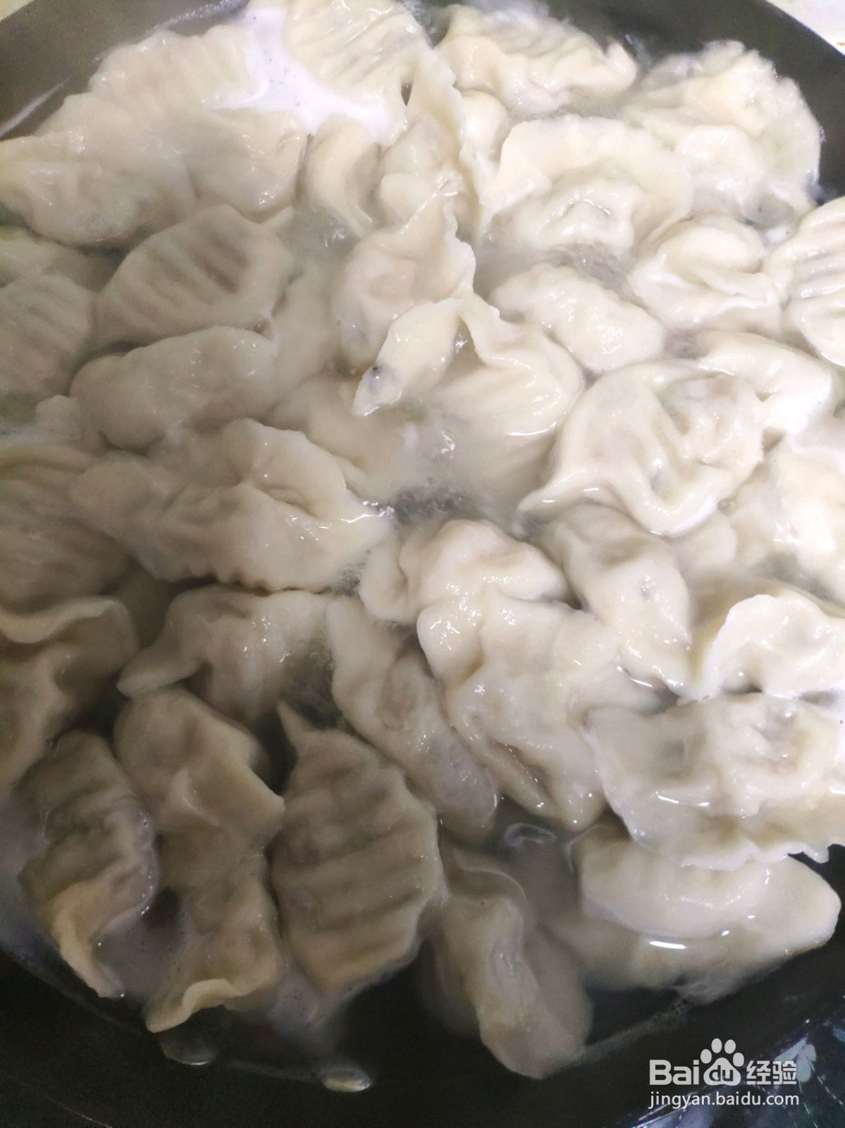 洋葱木耳鸡肉馅饺子的做法