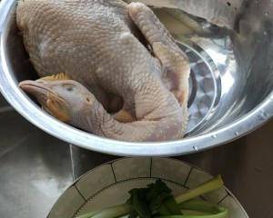 广東高糖白条鸡