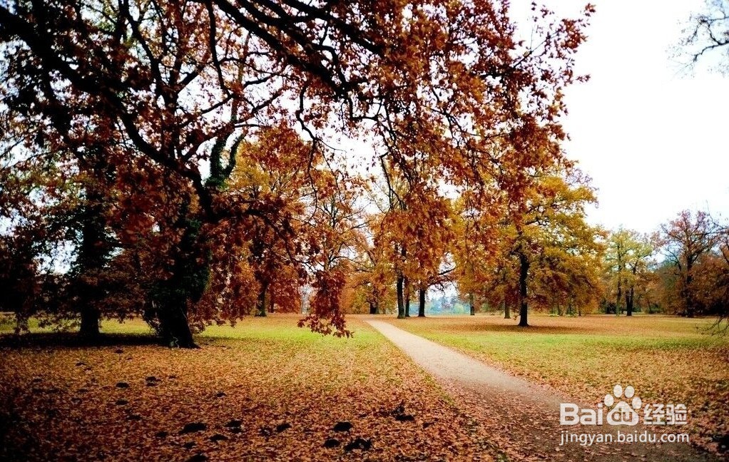 孩子没考好家长怎样跟老师说