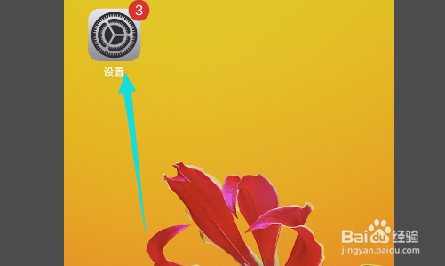 iphone12序列号怎么查找？