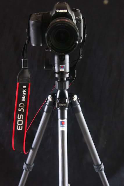 怎样拍摄出更加“锐”的照片