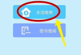 缴费失败怎么解决