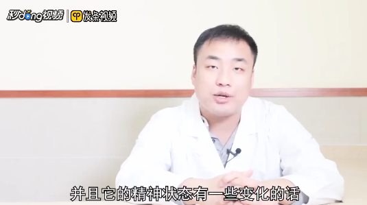 红鹦鹉鱼变白了怎么办