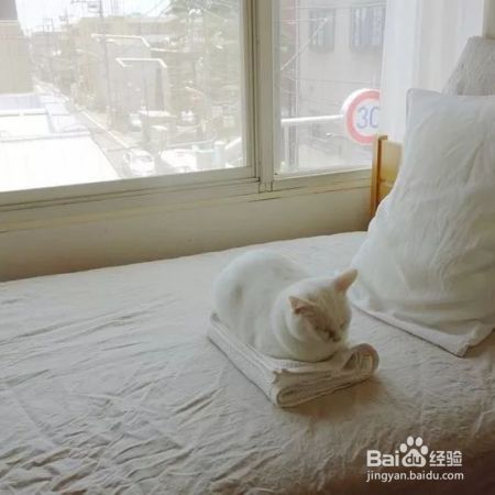 裸辞后，他们过得怎么样?