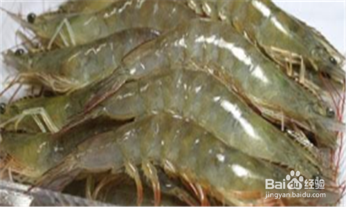 活海鲜怎么保存