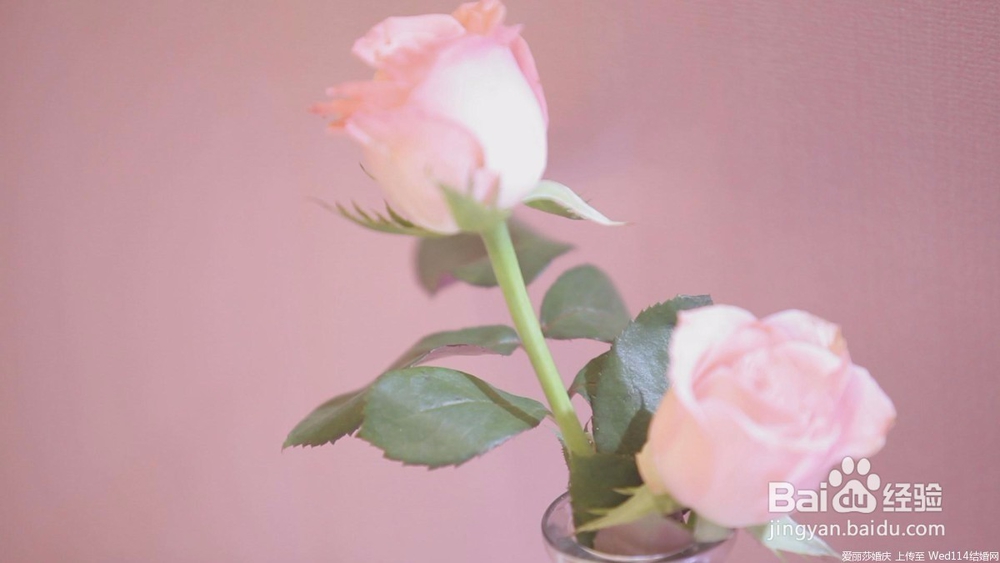 怎么样与朋友相处？