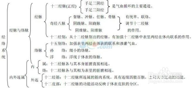 中医基础理论浅谈