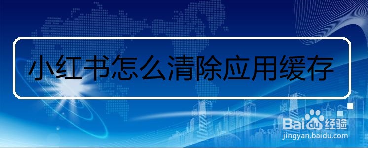 小红书怎么清除应用缓存